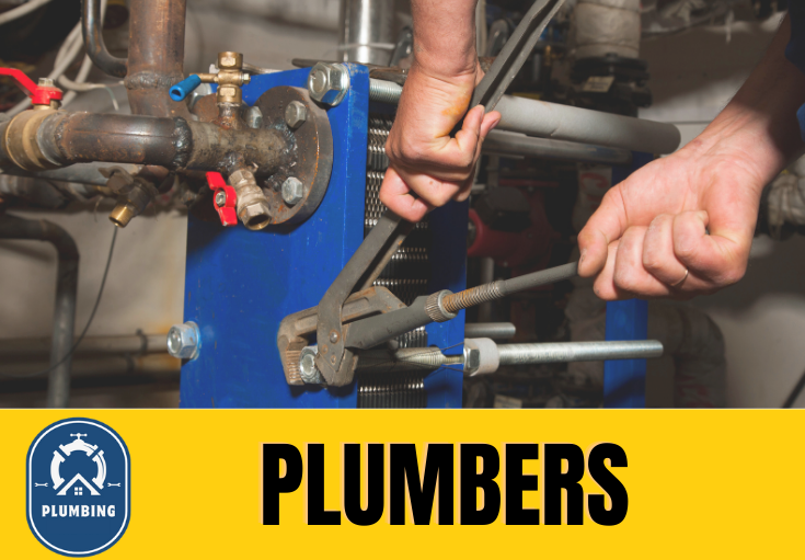  plumber Beltinge